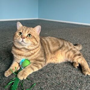 LIKE to be notified for next live show!